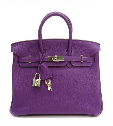 Hermes Paris Anemone Purple Leather Birkin 25 Bag