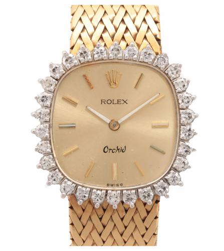 Rolex Orchid